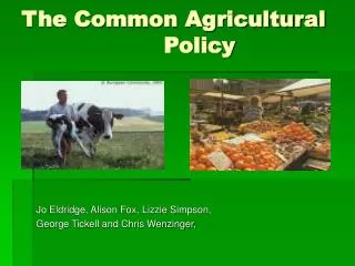 The Common Agricultural 				Policy