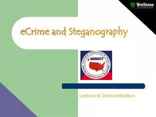 eCrime and Steganography