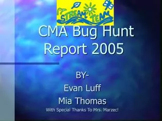 CMA Bug Hunt Report 2005