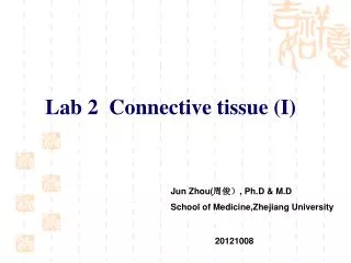 Lab 2 Connective tissue (I)