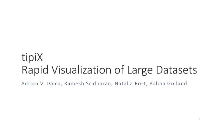 tipix rapid visualization of large datasets