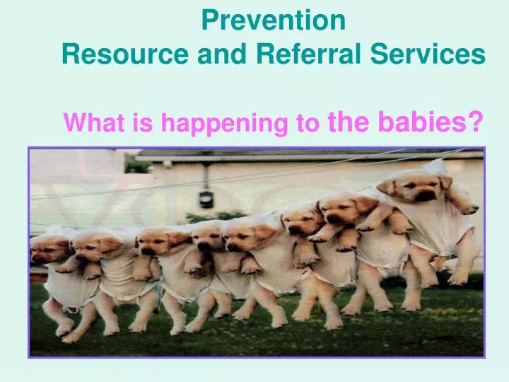 prevention resource and referral services what is happening to the babies