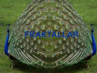 fraktallar