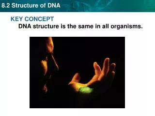 KEY CONCEPT DNA structure is the same in all organisms.