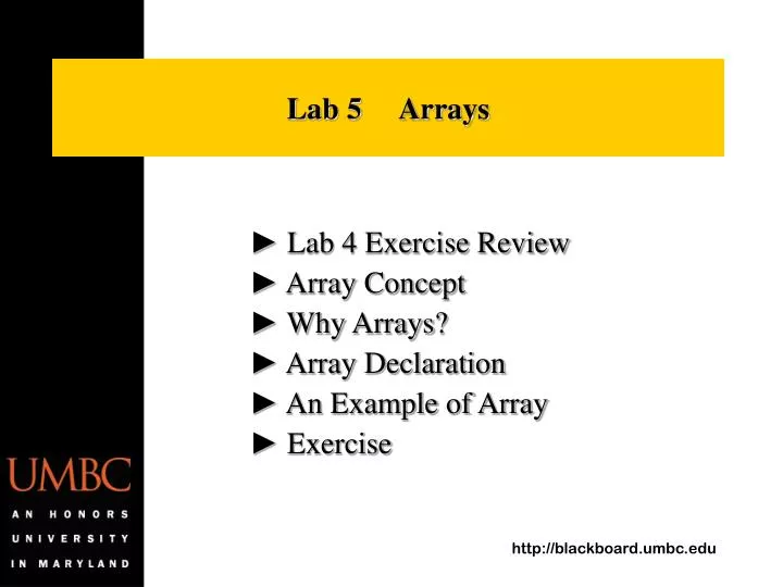 lab 5 arrays