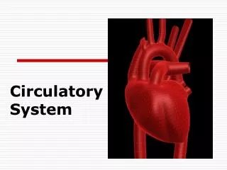 Circulatory System