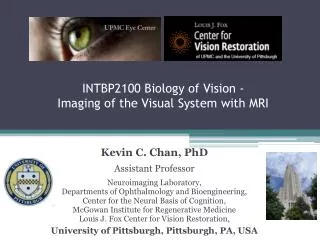 INTBP2100 Biology of Vision - Imaging of the Visual System with MRI