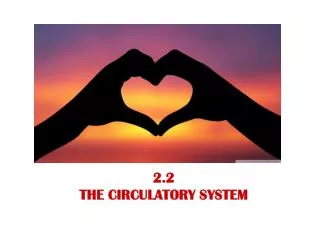 2.2 THE CIRCULATORY SYSTEM