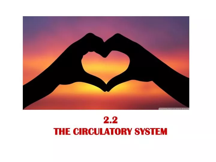 2 2 the circulatory system