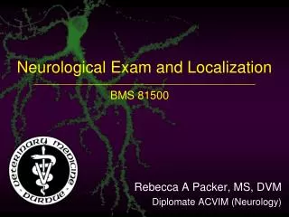 Neurological Exam and Localization