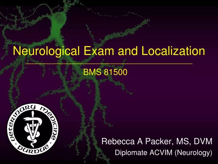 neurological exam and localization
