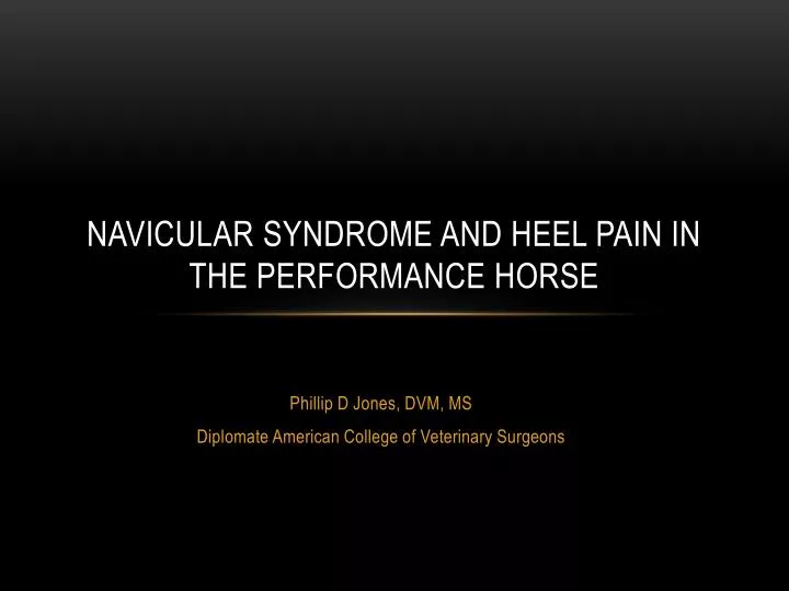 navicular syndrome and heel pain in the performance horse