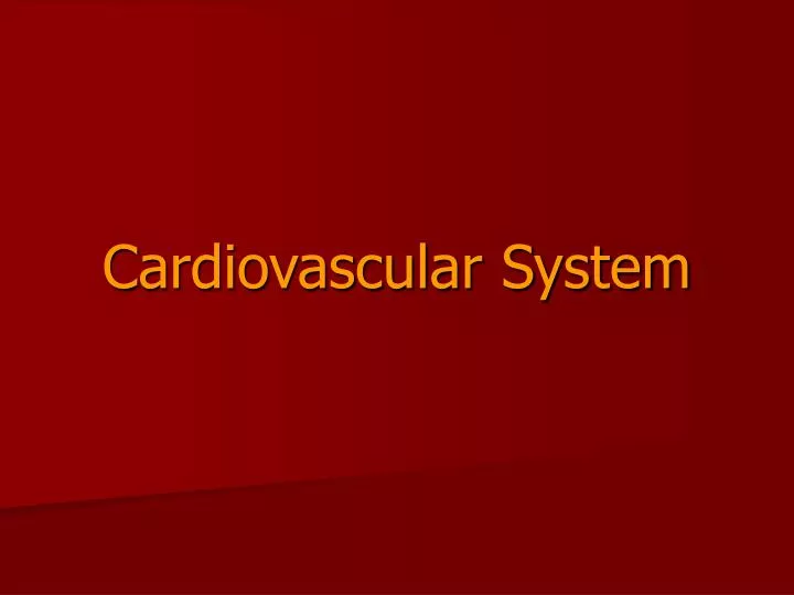 cardiovascular system