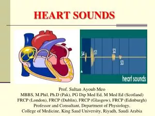 Prof. Sultan Ayoub Meo MBBS, M.Phil, Ph.D (Pak), PG Dip Med Ed, M Med Ed (Scotland)