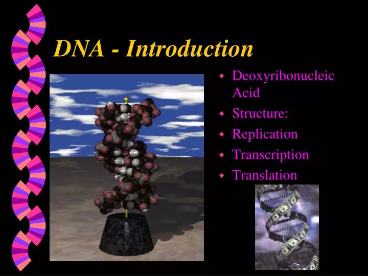 dna introduction