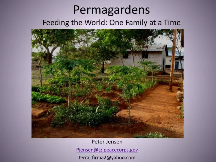 permagardens feeding the world one family at a time