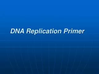 DNA Replication Primer