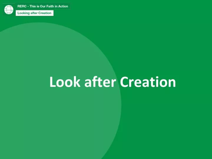 look after creation