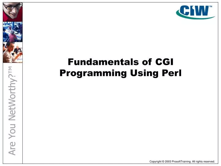 fundamentals of cgi programming using perl