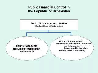 Public Financial Control in the Republic of Uzbekistan