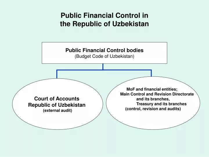 public financial control in the republic of uzbekistan