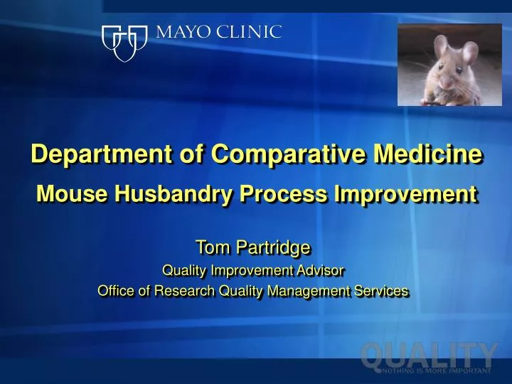department of comparative medicine mouse husbandry process improvement