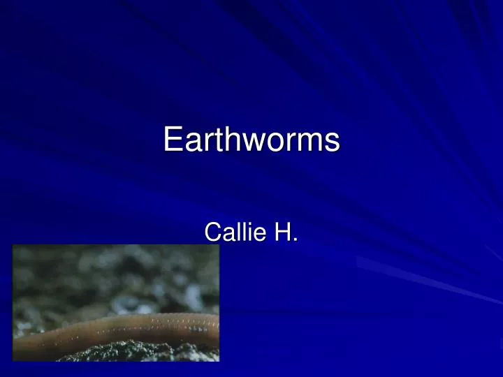 earthworms