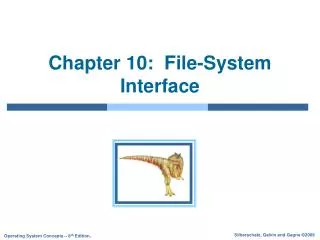 chapter 10 file system interface