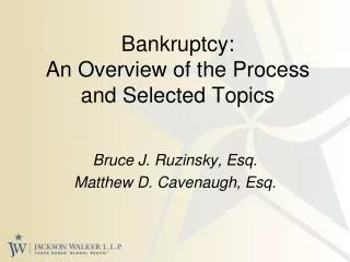 Bankruptcy: An Overview of the Process and Selected Topics