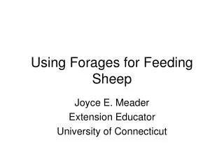 Using Forages for Feeding Sheep