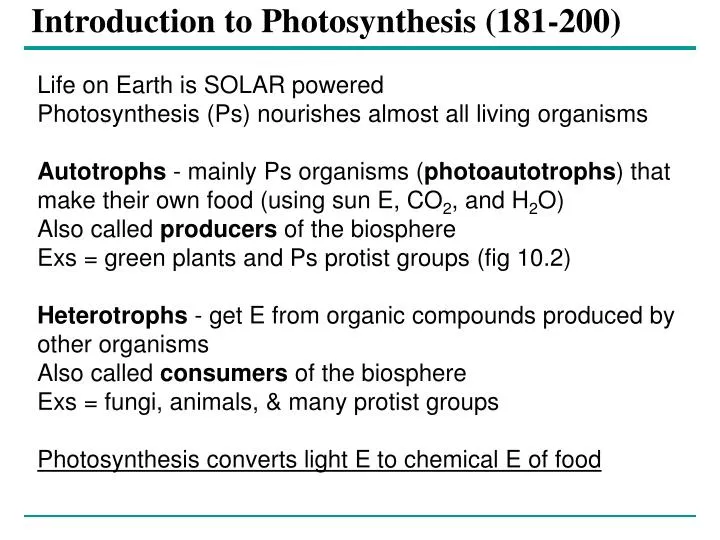 introduction to photosynthesis 181 200