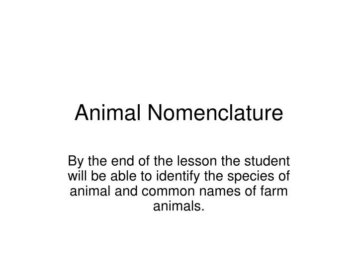 animal nomenclature