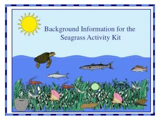Background Information for the Seagrass Activity Kit