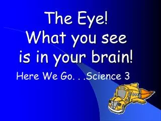The Eye! What you see is in your brain!