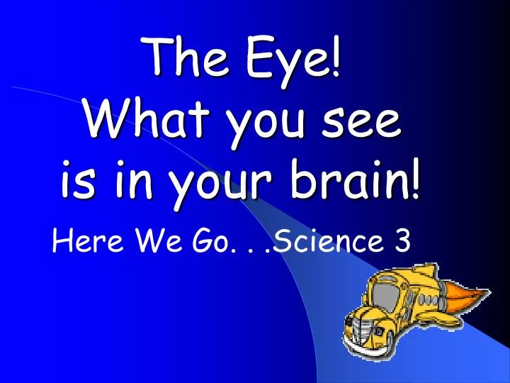 the eye what you see is in your brain