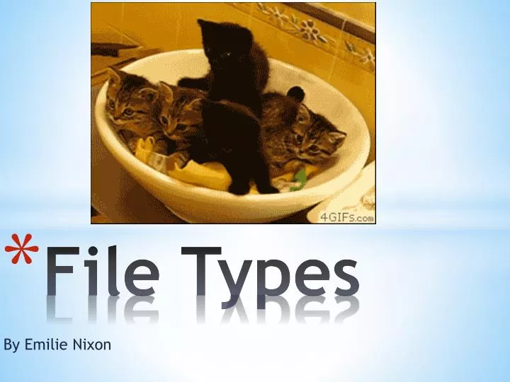 file types