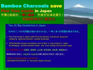 bamboo charcoals save pine tree woods in japan co2