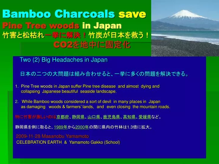 bamboo charcoals save pine tree woods in japan co2
