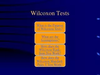 Wilcoxon Tests
