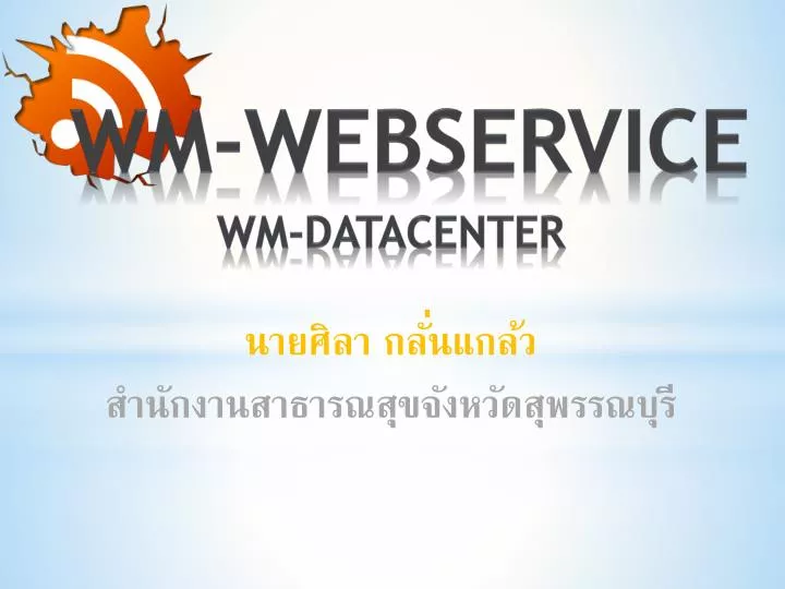 wm webservice