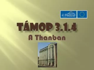 t mop 3 1 4