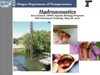 Hydroacoustics Ken Cannon, ODOT Aquatic Biology Program ESA Document Training, May 26, 2010