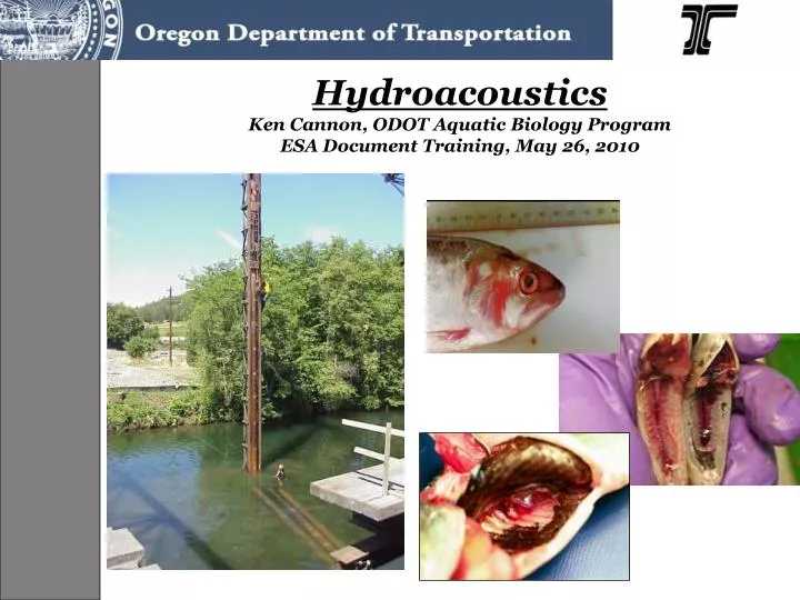 hydroacoustics ken cannon odot aquatic biology program esa document training may 26 2010