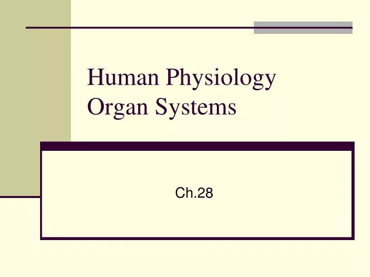 human physiology organ systems