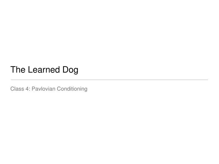 the learned dog