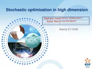 Stochastic optimization in high dimension