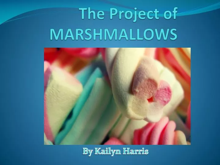 the project of marshmallows