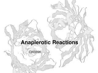 Anaplerotic Reactions