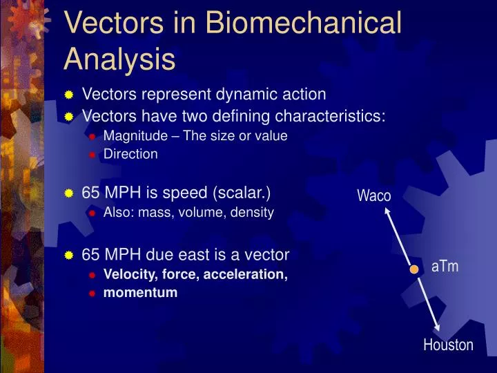 vectors in biomechanical analysis