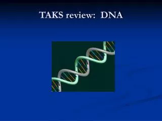 TAKS review: DNA